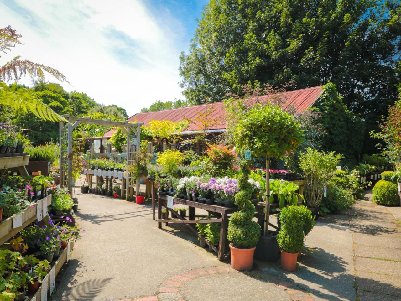 River Gardens Cottage Whitby Eksteriør billede